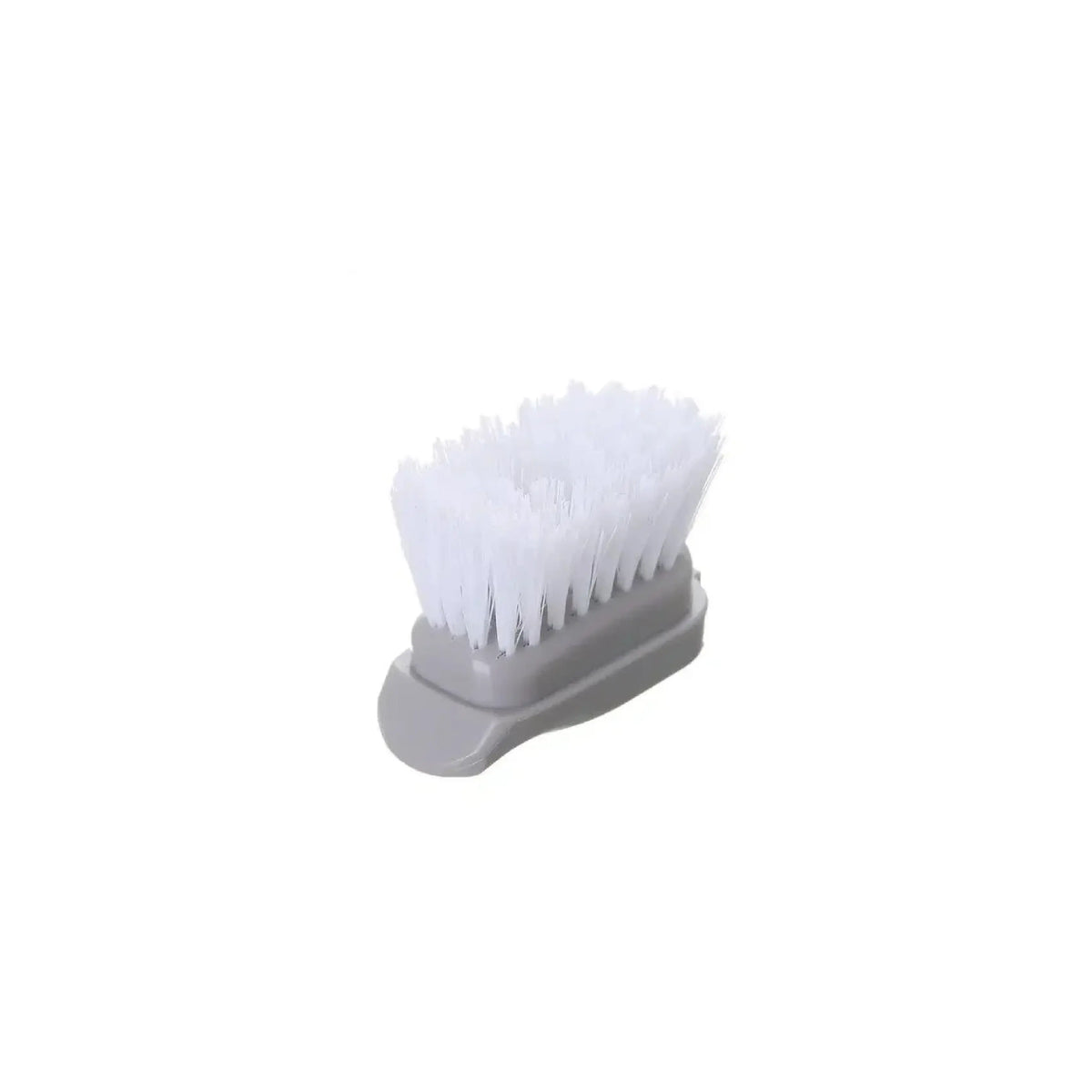 Tête e brosse disposée sur fond blanc.